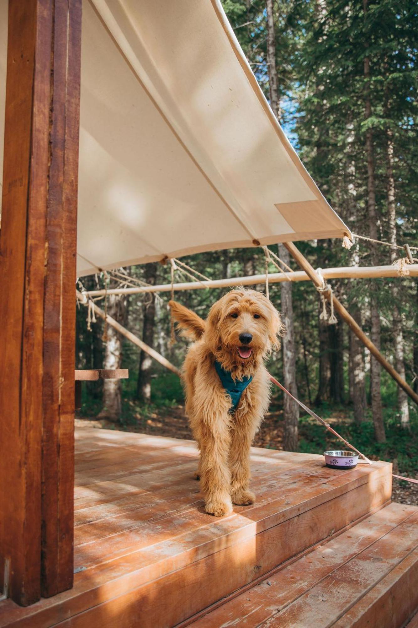 Sundance By Basecamp Hotel Kananaskis ภายนอก รูปภาพ